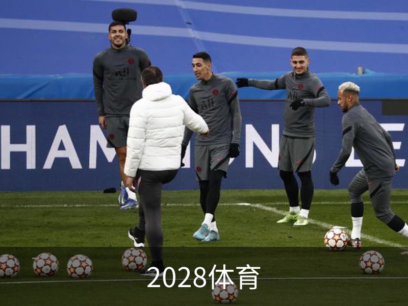 关于2028体育